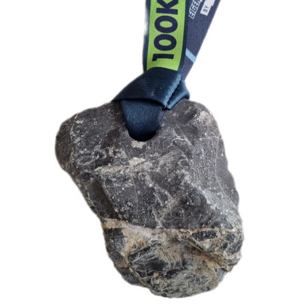 Eiger Ultra Trail 101 km Marathon Medaille