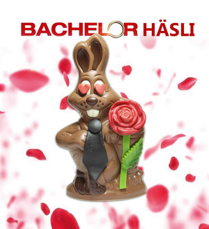 Happy Bachelor