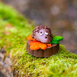 Farbenfrohes Herbstlaub
