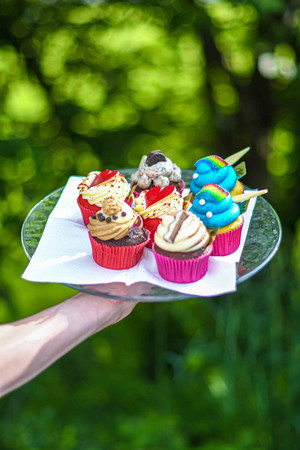 Cupcakes – Bunt wie der Frühling