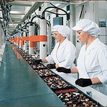 Where before, at long tables and later at conveyers, women carefully placed pralines into boxes, nowadays robots execute that same job in a fraction of the time needed back then. Attentive staff monitors and corrects the robot's work.