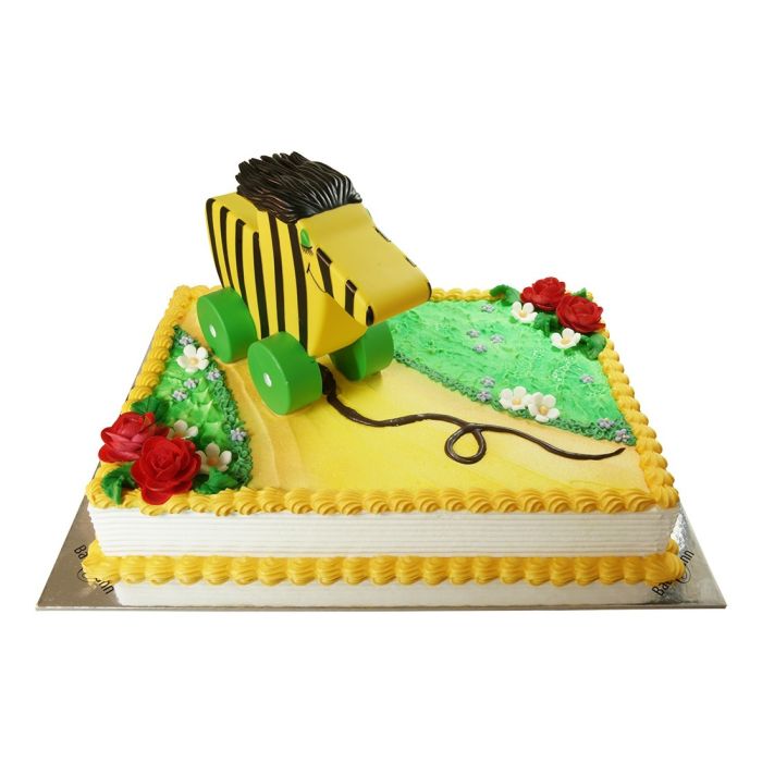 Children's Birthday Cake Tiger Duck