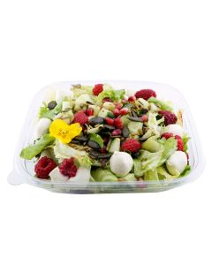 Gartensalat 