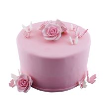 Color-Torte rund Pinkdesign