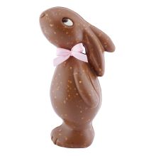 Sternschnupperli® Milch-Nuss 19cm