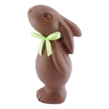 Sternschnupperli® Vegan 19cm
