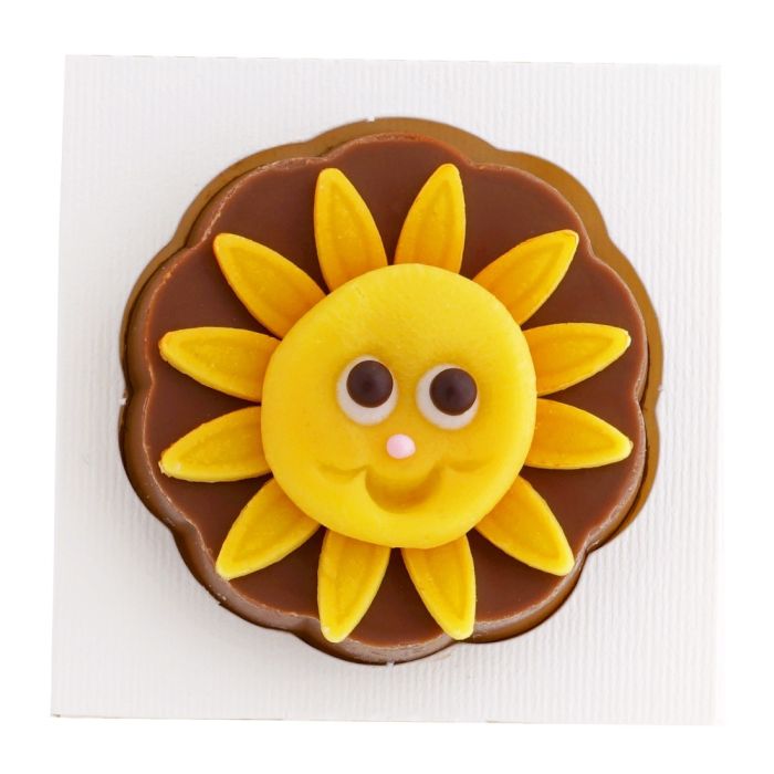 Sonnenblume Grüessli B2B
