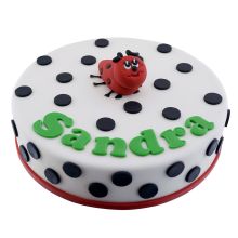Color Cake Round Point