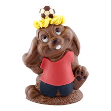 Gino Fussball