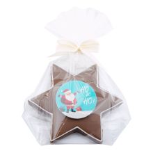 Lebkuchen Stern 12x12cm mit Masche