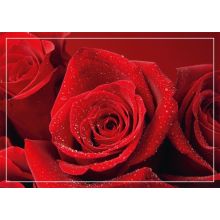 Geschenkkarte Rose