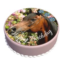 Color Cake Round Amadeus