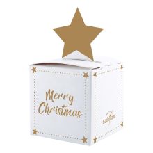 Schutzengeli® 1er Sternbox  B2B
