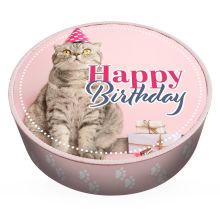 Kitty