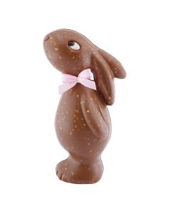 Sternschnupperli® Milch-Nuss 19cm