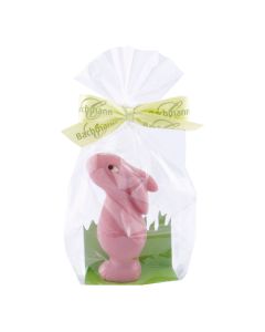 Sternschnupperli® Mini Himbeer