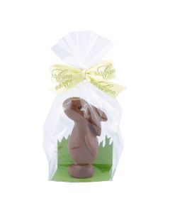 Sternschnupperli® Mini Milch