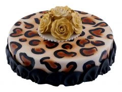 Koffer Color-Torte rund