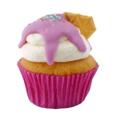 Cupcake Ice Cream