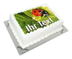Photo Cake Lucky Ladybird