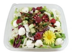 Garden Salad