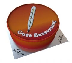 Shipping Cake Thermometer