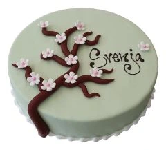 Children's birthday cake Ice Princess