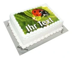 Photo Cake Lucky Ladybird