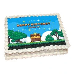 Photo cake Arcade