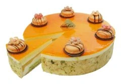 Mandarinen-Joghurt Torte