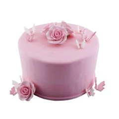 Color Cake Round Pinkdesign