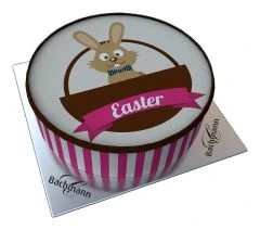 Shipping Cake Bunny